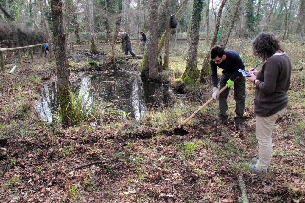 VOLONTANFIBI 2014: Parco Regionale MSRM